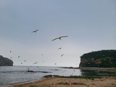 -棒棰岛宾馆景区