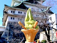 -名古屋城