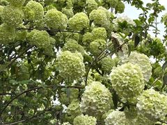 -大龙山(地铁站)