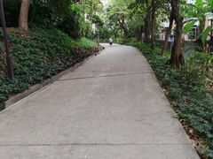 -南岗山公园