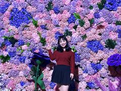 -顺德南宏海立方海洋公园