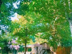 -HERRE·FARM 赫尔露营农场·团建聚会包场