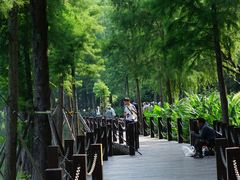 -重庆彩云湖湿地公园