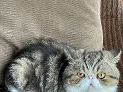 -参差咖啡(水果湖公园店)