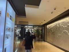 -ARC'TERYX始祖鸟(北京王府中环店)