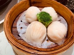 -南枝记