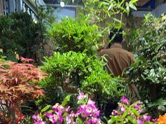 -朝来春花卉市场