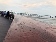 -宝安西湾红树林湿地公园