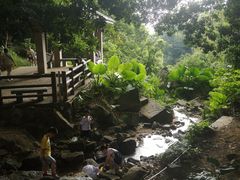 -火炉山森林公园