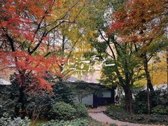 -静安公园(静安寺街道)