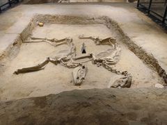 -洛阳周王城天子驾六博物馆