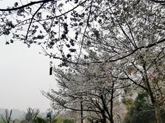 -堤角公园