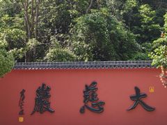-大慈岩风景区
