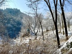 -秦岭终南山世界地质公园翠华山景区