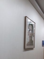 -智美品质医美