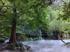 -杭州植物园