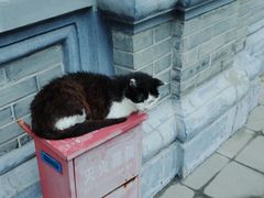 -平安桥天主教堂