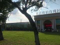 -天宫南铂玫瑰园酒店