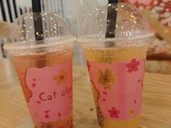 -Let's go狗咖·猫咖·奶狗·桌游(春熙路IFS店)