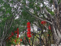 -金鸡山公园