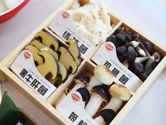 -菌子鲜汤野生菌锅
