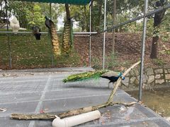 -福建鲤鱼洲酒店