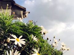 -大理无舍度假酒店