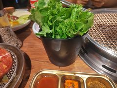 -九田家黑牛烤肉料理(新辰里亚运村店)