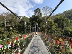 -西双版纳原始森林公园