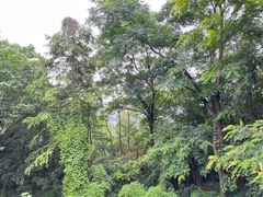 -岳麓山风景名胜区