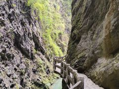 -龙水峡地缝景区
