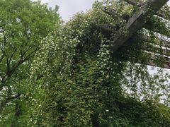 -南山植物园