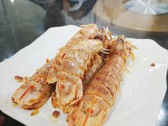 濑尿虾-蚝专家(北滘店)