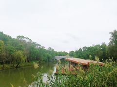 -同里国家湿地公园