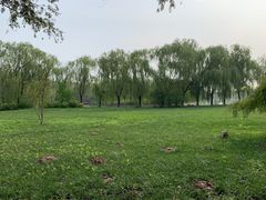 -杨柳青庄园