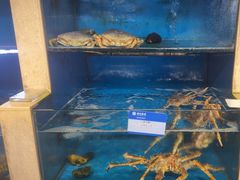 -鹰龙海畔度假酒店(咸祥店)
