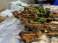 -晓靖轩烧烤(沙河风情店)