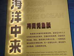 -国家自然博物馆