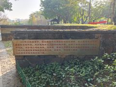 -王借岗森林公园