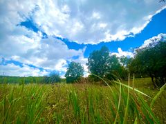 -塞罕坝国家级自然保护区