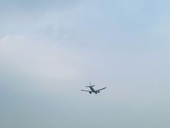-空港花田景区
