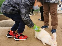 -前小桔亲子创意农场·草莓采摘·露营烧烤