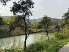 -龙寺生态园