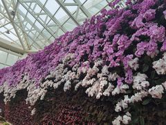 -石家庄市植物园