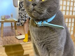 -小时光咖啡馆(开森度假森林店)