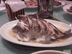 清蒸武昌鱼&nbsp;-九头鸟酒家(四道口店)