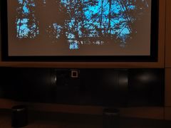 -金色印象·HiFi影音·按摩足疗(龙腾路店)