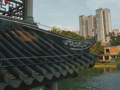 -荔湾湖公园