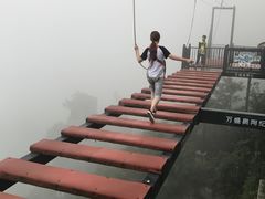 -梦幻奥陶纪景区