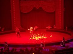 -珠海横琴长隆《卡卡虎奇遇记》